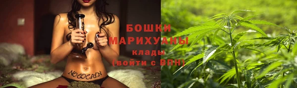 шишки Нея