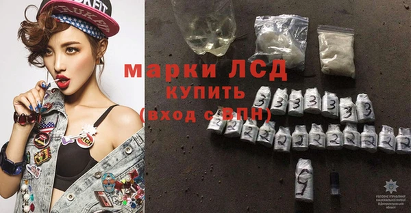 сатива Нефтекумск