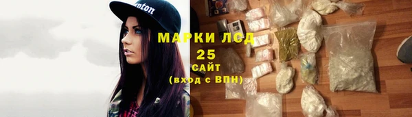 сатива Нефтекумск