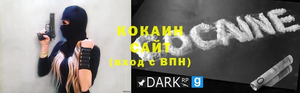 сатива Нефтекумск