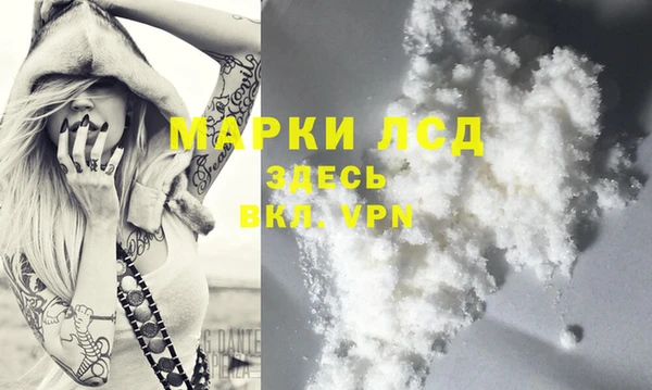 стаф Новодвинск