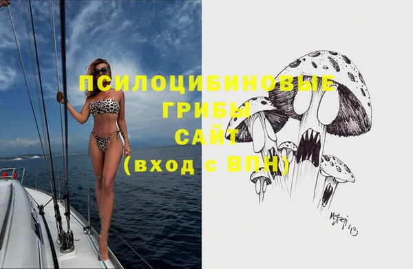 шишки Нея