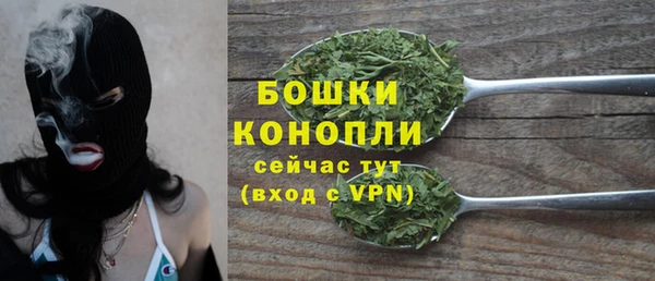 шишки Нея