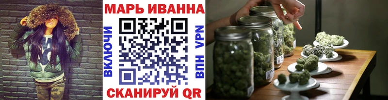 где купить наркоту  Няндома  Конопля сатива 